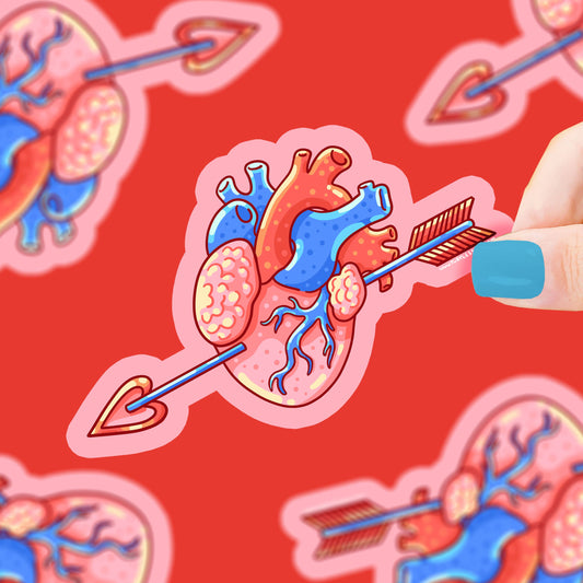 Arrow Through the Heart Aorta Vinyl Sticker