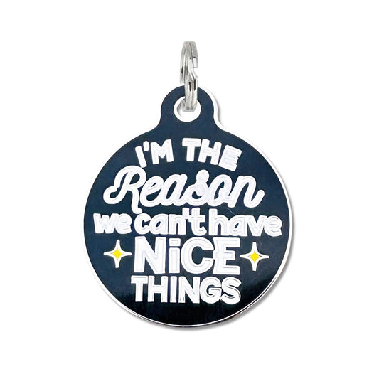 Bad Tags - Personalized Dog ID Tag Charm - Can't Have Nice Things