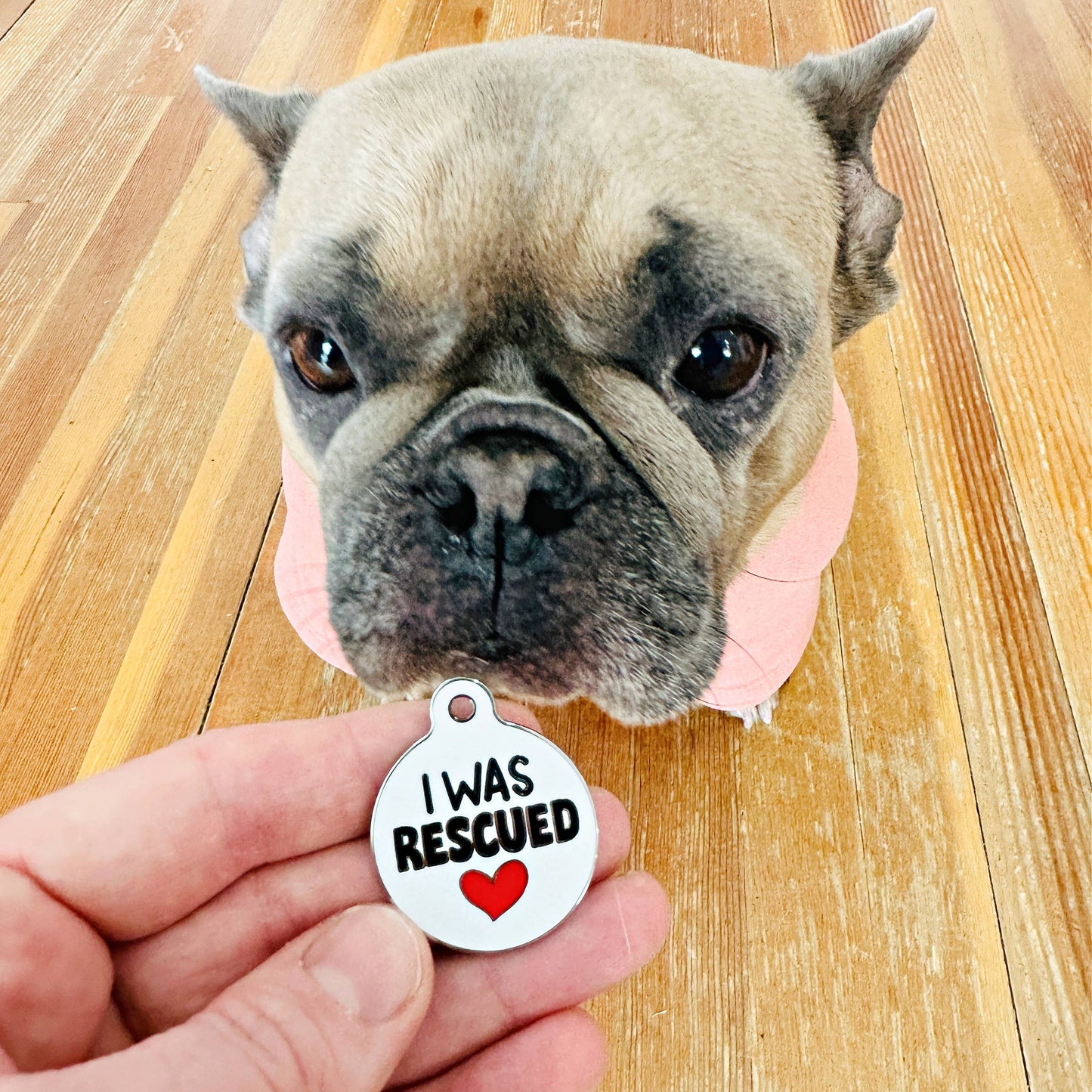 Bad Tags - Enamel Dog ID Tag w/ Personalized QR Code - I Was Rescued