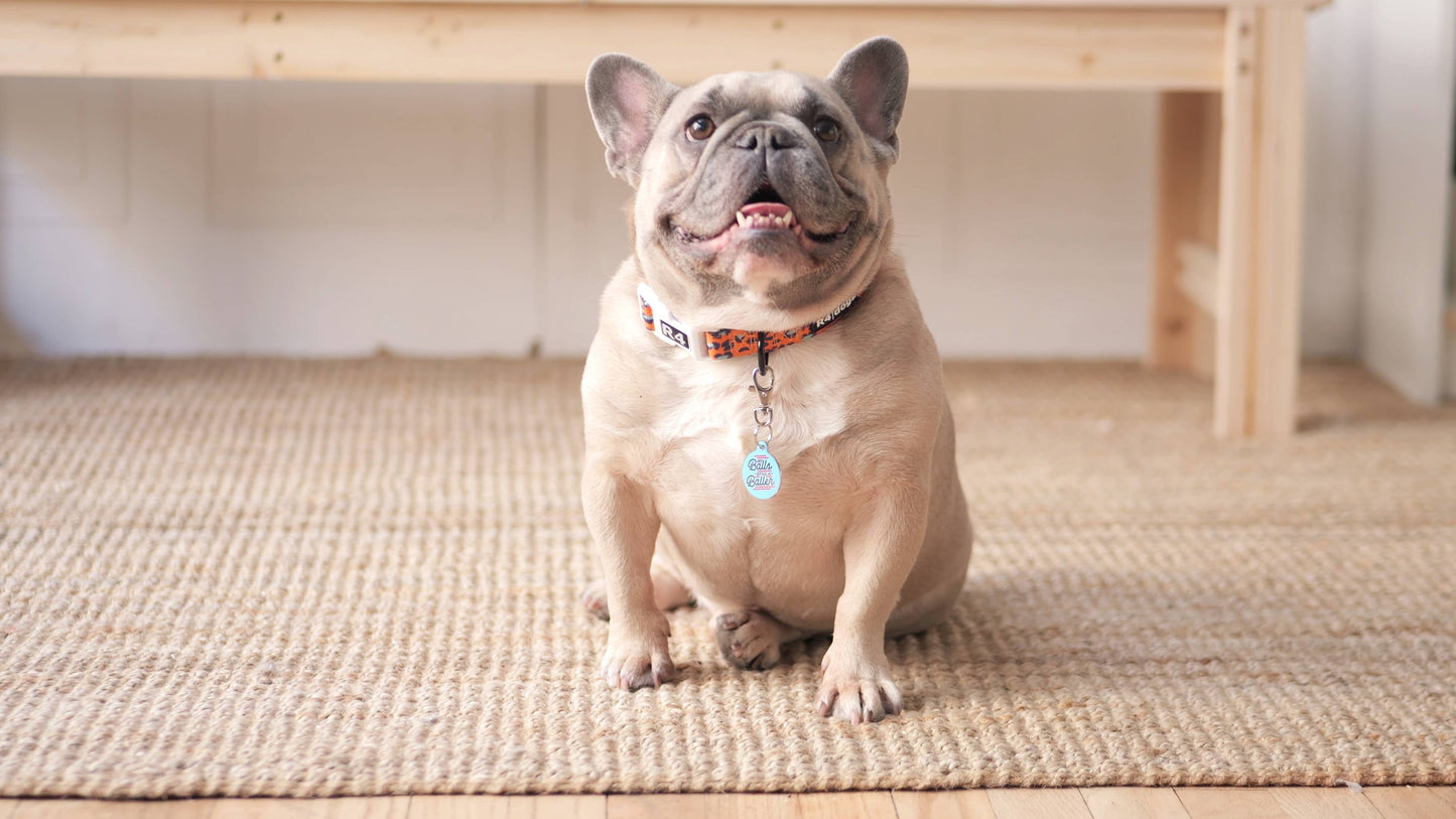 Bad Tags - Personalized Pet ID Tag w/QR Code - No Balls Still a Baller 